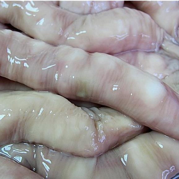 牛ホルモンパイプ1kg　ほるもん　小腸　ぱいぷ　丸腸　03