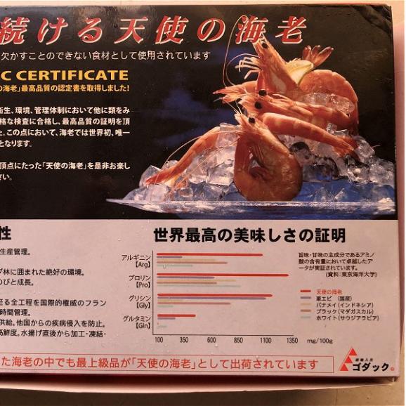 天使の海老1kg(30～40尾)　えび　エビ　エンジェル　えんじぇる　ニューカレドニア　06