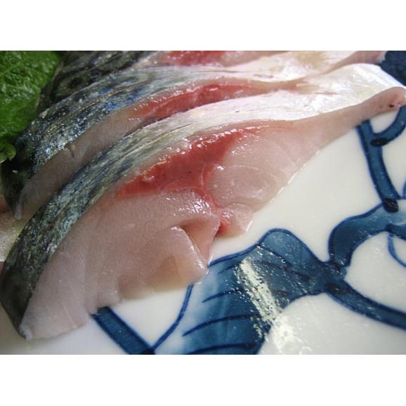 山陰境港産、真さば5kg(12匹前後)　サバ　鯖　04