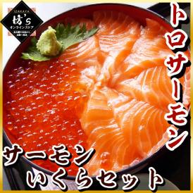 【送料無料】大容量いくらトロサーモンセット（イクラ醤油漬 500g+ とろサーモン500g）鮮度抜群【海鮮/鮭/魚卵/サーモン/大容量/鱒卵/丼/寿司/刺身/地鶏坊主】