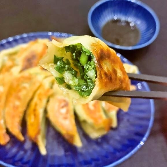 《5月下旬～順次発送》茶びんの餃子（50個入り）　※期日指定不可【予約販売】05