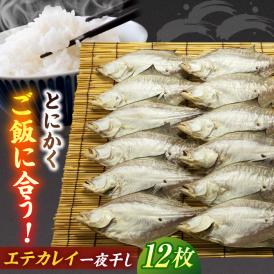 ほかほかのご飯にぴったり！恵曇エテカレイ一夜干しセット×12尾 島根県松江市/有限会社丸三商店[ALCP003]