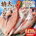 TV放映多数！県内外のファンがわざわざ訪れる 天日ほしもん屋特製 のどぐろ干物×2枚（特大サイズ・20cm以上） 島根県松江市/桝谷鮮魚店[ALCJ001]