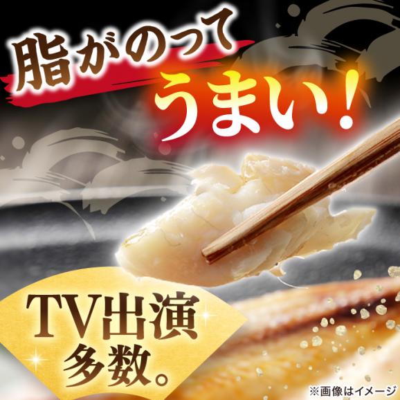 TV放映多数！県内外のファンがわざわざ訪れる 天日ほしもん屋特製 のどぐろ干物×2枚（特大サイズ・20cm以上） 島根県松江市/桝谷鮮魚店[ALCJ001]04