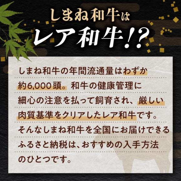 【訳あり】最高級品質の和牛肉！しまね和牛コロコロサイコロステーキ(サーロイン･肩ロース・リブロース) 200g×2P 訳あり 小分け 冷凍 島根県松江市/有限会社宮本食肉店[ALCV004]05