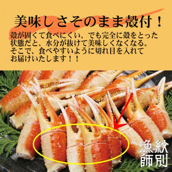 64-2 ずわいがに爪 400g ×4セット ｜無添加 かに ずわいがに 高品質04