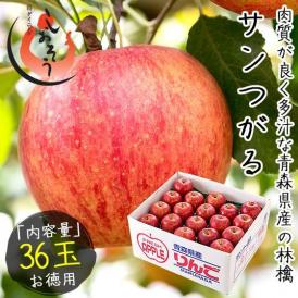 りんご リンゴ サンつがる 36玉 青森県産
