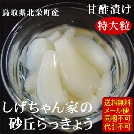 【メール便！送料無料】<br>しげちゃんの砂丘らっきょう漬け（180g）鳥取県北栄町ファーム山脇のらっきょうを使用した「甘酢漬け」特大粒<br>代金引換不可・到着日指定不可・らっきょう漬け