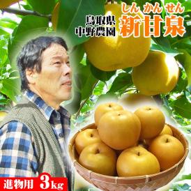 新甘泉【鳥取県産】【進物用】2.5kgセット(4-8玉程度)【送料無料】[常温]