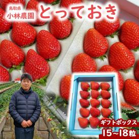 とっておき　苺　ギフトセット 小林農園  わかば農法イチゴ 送料無料 鳥取県産 鳥取県新ブランド苺 