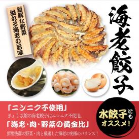 天然エビ100%使用！海老含有量65％以上の海老餃子とニンニク風味旨味たっぷり黒餃子のセット
