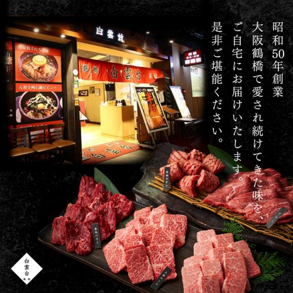 プレゼント 肉ケーキ 結婚祝い ギフトセット 肉 結婚内祝い 焼肉 牛肉 焼肉セット お中元 ギフト お祝い ありがとうの花 可憐 280g05