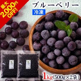 冷凍ブルーベリー 1kg 500g×2袋 送料無料 九州産 冷凍 ブルーベリー サイズ不選別 フルーツ 果物 取り寄せ 通販 7-14営業日以内に出荷予定(土日祝日除く)