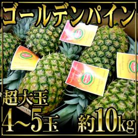 フィリピン産 ”ゴールデンパイン” 超特大4〜5玉 約10kg【予約 入荷次第発送】 送料無料
