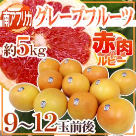 南アフリカ産 ”グレープフルーツ ルビー” 大玉9～12玉前後 約5kg【予約 6月中旬以降】 送料無料