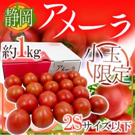 ホテル、有名シェフ御用達のアメーラトマト♪甘さが凝縮されています♪