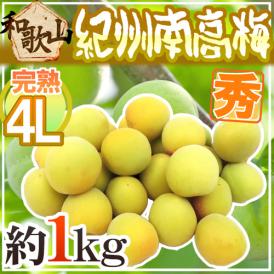 梅干しや梅ジャムに♪高品質な完熟南高梅 約1キロ！