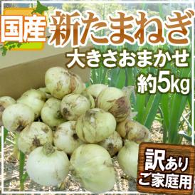”新たまねぎ” 訳あり 約5kg 九州・四国・淡路・北海道 産地厳選【予約 入荷次第発送】 送料無料