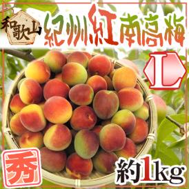 ”紀州・和歌山産 紅南高梅” 秀品 L 約1kg《10キロ以上ご購入で送料無料》【予約 5月下旬以降】