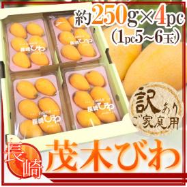 初夏を運ぶトップブランド産地の高級枇杷♪贈り物に最適♪