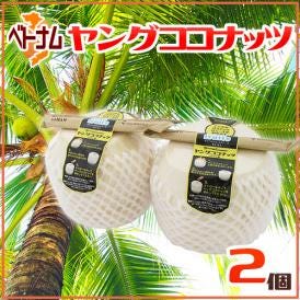 南国気分バツグン！成分も注目されるヤシの実♪