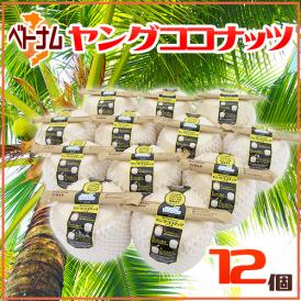 南国気分バツグン！成分も注目されるヤシの実♪