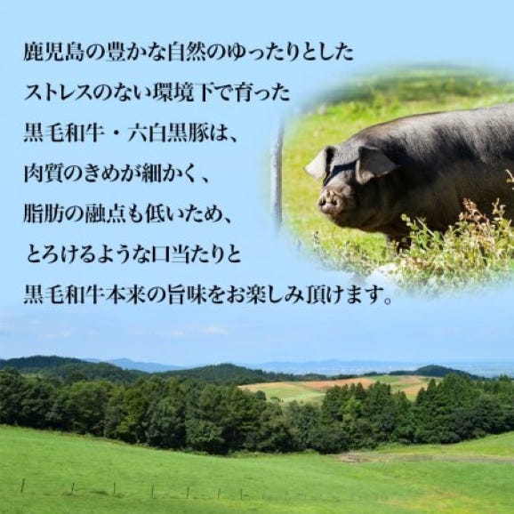 国産黒毛和牛と黒豚のハンバーグ 6個 詰め合わせギフト（各種3個ずつ）03