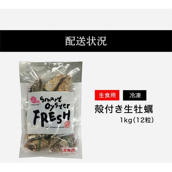 ＼お中元ギフトにおすすめ／【お刺身OK】兵庫県室津産 殻付き牡蠣 1kg前後(約12粒入) (冷凍)※高圧処理済みで簡単殻むき【送料無料/貝/かき/カキ/生ガキ/ギフト/お中元/BBQ/ますよね】06
