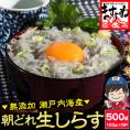 瀬戸内海産 生しらす 500g(100g×5パック) 無添加 朝獲れ【シラス/しらす/お取り寄せ/大とろ/イクラ/ウニ/父の日/ギフト/送料無料/ますよね】