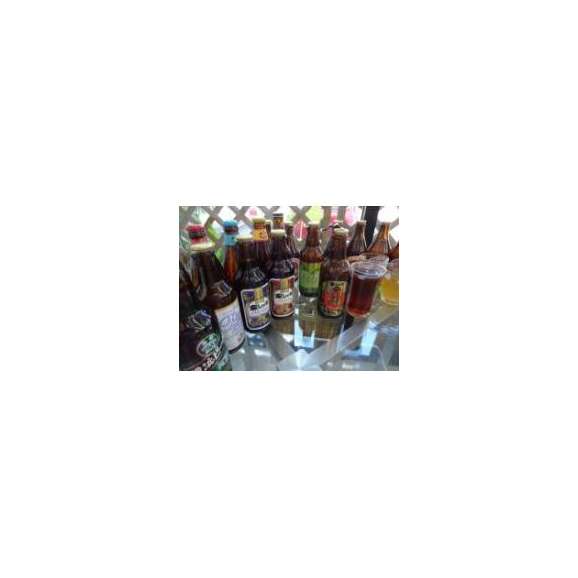 クラフトビールパーティ6本セット　金しゃちピルスナー330ml×3本　常陸野ネストアンバーエール330ml×3本03