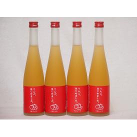 篠崎 りんご梅酒りんご、はじめました（福岡県）500ml×4本