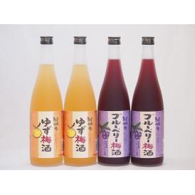 果物梅酒セット ブルーベリー梅酒×ゆず梅酒 中野BC(和歌山県)720ml×4本
