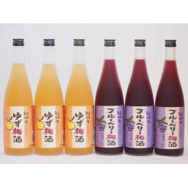果物梅酒セット ブルーベリー梅酒×ゆず梅酒 中野BC(和歌山県)720ml×6本
