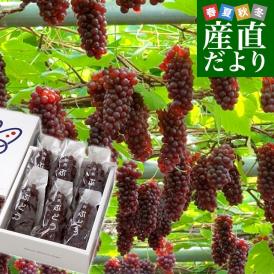 種がなく甘みが強い！外観が美しいので、ギフトにも適しています！