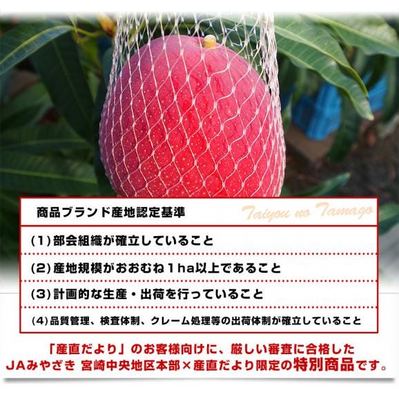 宮崎県より産地直送 JAみやざき宮崎中央地区本部 完熟マンゴー 太陽のタマゴ２L×2玉 (350gから449g×2玉) 送料無料 宮崎マンゴー 太陽のたまご お中元 ギフト06