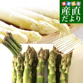 北海道より産地直送 赤井川村滝本農場 有機JAS栽培アスパラ 貴婦人と貴公子のセット  (ホワイト2LからＬ約500g×グリーンLからⅯ約500g)  送料無料 アスパラガス