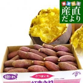 茨城県より産地直送 JAなめがた さつまいも「紅まさり(べにまさり)」 Sサイズ 約5キロ(25本から30本前後） 送料無料 さつま芋 サツマイモ 薩摩芋