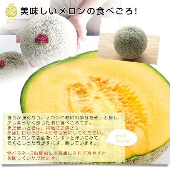 茨城県より産地直送 JA水戸ひぬま レノンメロン(赤肉) 4Lから3L 5キロ箱（3玉から4玉） 送料無料 赤肉メロン06