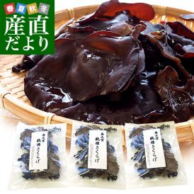 希少な国産だから安心！キノコの里「奥出雲」からお届け！