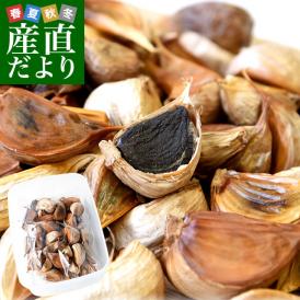 香川県より産地直送 JA香川県 熟成黒にんにく 約300g（タッパー入り） 送料無料 黒ニンニク 大蒜　香川にんにく