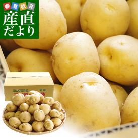 甘く、ほくほくとした食感が特徴のブランドじゃがいも！