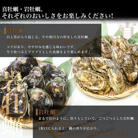 長崎県より産地直送 生食用 真牡蠣＆岩牡蠣セット 合計3キロ以上（各種10個入り）送料無料 新上五島町 生牡蠣 カキ05