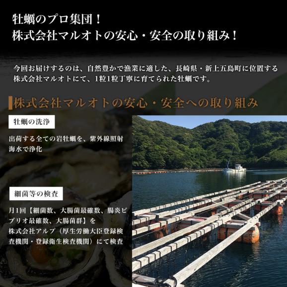 長崎県より産地直送 生食用 真牡蠣＆岩牡蠣セット 合計3キロ以上（各種10個入り）送料無料 新上五島町 生牡蠣 カキ06