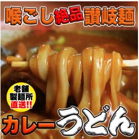 讃岐の製麺所が作る、レンジで簡単！辛すぎないスパイシーなカレーうどん4食(180g×4)/ゆうパケット
