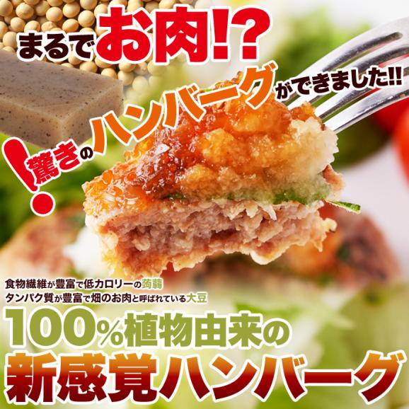 100％植物由来の新感覚 ハンバーグ !!マンナン大豆 ミートハンバーグ 90g×3袋 ネコポス02