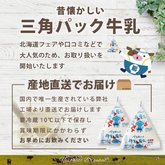 べつかいの牛乳屋さん三角パック（180ml×15個）（M-15） BN000001904