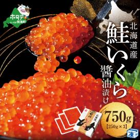 北海道 別海町ふるさと納税 産品