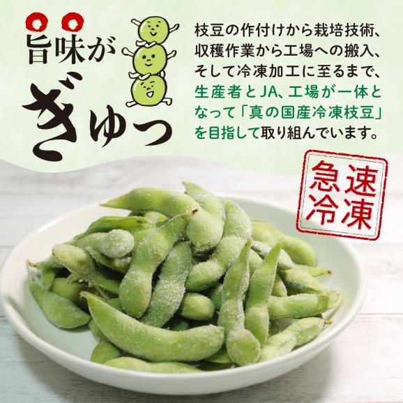 【ふるさと納税】北海道十勝芽室町　十勝めむろ えだまめ食べ比べ 2種 10袋 me003-080c05
