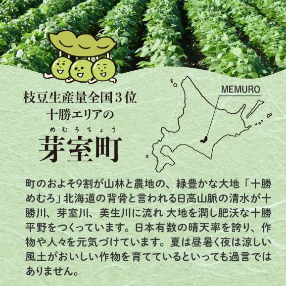 【ふるさと納税】北海道十勝芽室町　十勝めむろ えだまめ食べ比べ 2種 10袋 me003-080c06