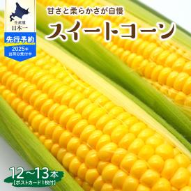 【ふるさと納税】【2025年分先行予約】北海道十勝芽室町 上美生のたからばこ とうもろこしゴールドラッシュ 12～13本 ポストカード セット me029-001c-25